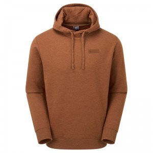 Montane Mono Logo Hoodie Herren Braun | GNR428709